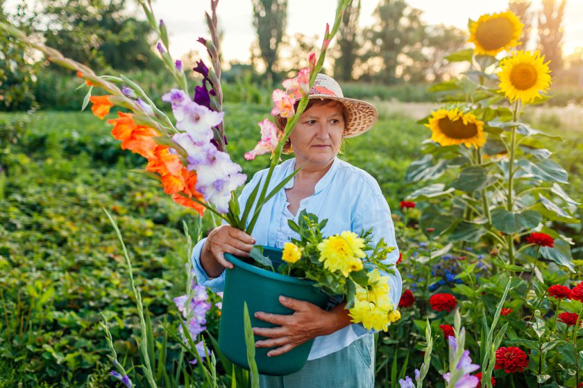 10 Reasons Gardening is Good for Seniors - LTC Consumer